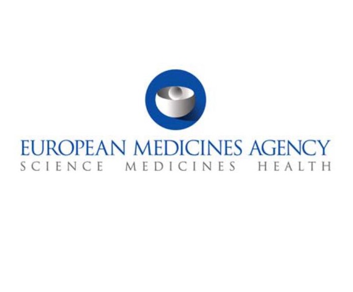 European Commission guideline on excipients in the labelling and