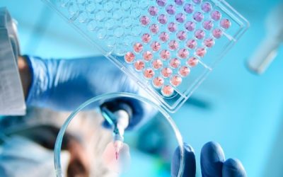 Regulating medical devices in the event of a no-deal Brexit