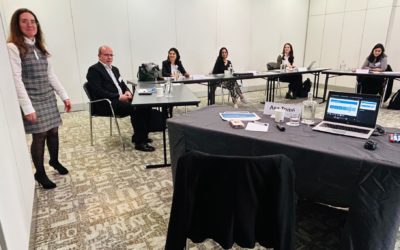 AUDITORIAS DE FARMACOVIGILÂNCIA a SERVICE PROVIDERS: ” Uma experiência  muito recomendável para quem deseja aprofundar os seus conhecimentos sobre auditorias GVP “