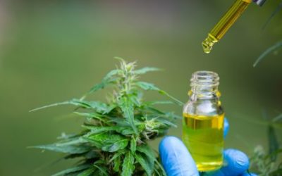 España aprueba la regulación del cannabis medicinal para uso hospitalario y prescripción por especialistas