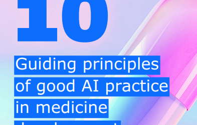 Guiding principles of good AI practice in medicine development